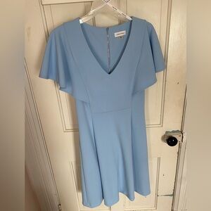 Calvin Klein Women's Blue Dress